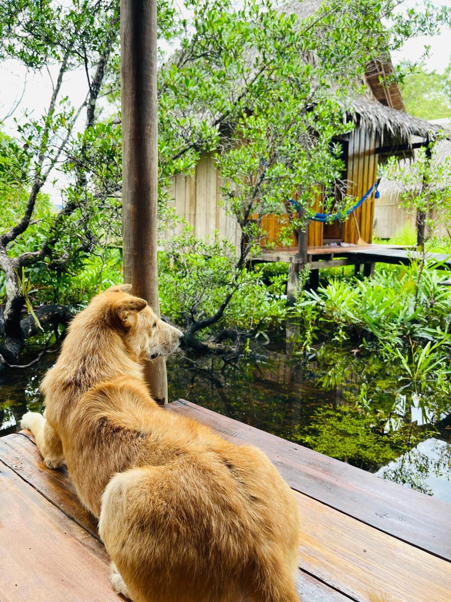 Lily'S Riverhouse Prek Svay Village Buitenkant foto